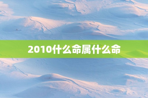 2010什么命属什么命