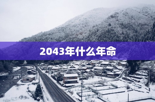 2043年什么年命