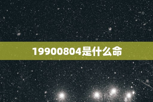 19900804是什么命