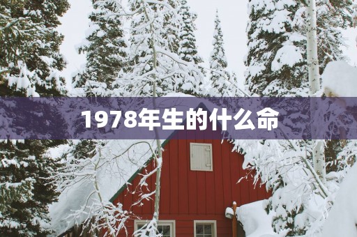 1978年生的什么命
