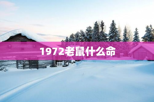 1972老鼠什么命