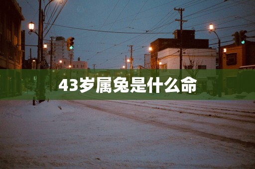 43岁属兔是什么命