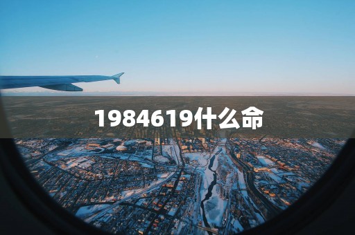 1984619什么命