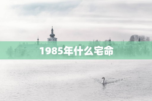 1985年什么宅命