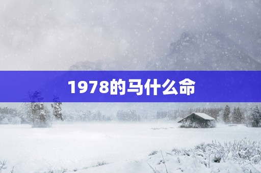 1978的马什么命