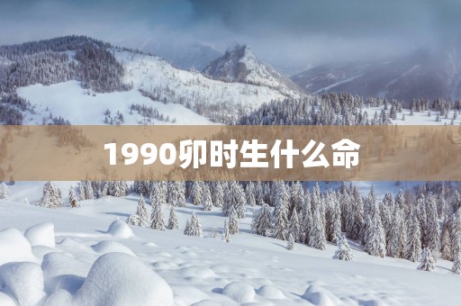 1990卯时生什么命