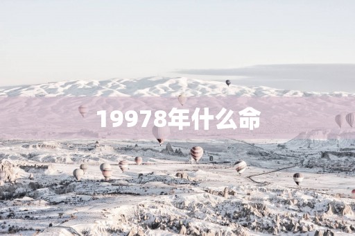 19978年什么命