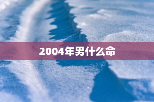 2004年男什么命