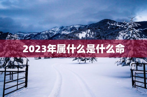 2025年属什么是什么命