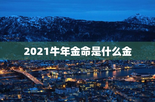 2025蛇年金命是什么金