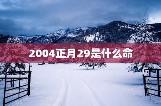 2004正月29是什么命