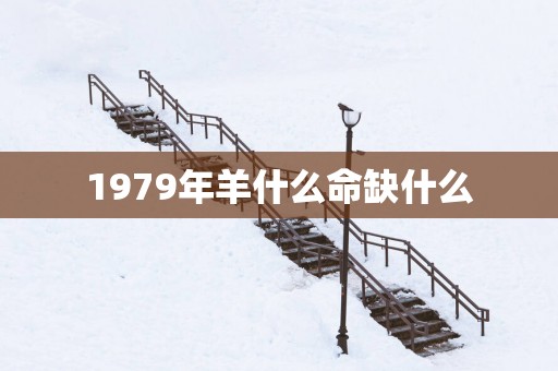 1979年羊什么命缺什么