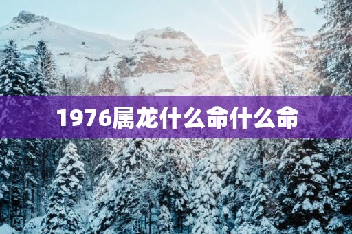 1976属龙什么命什么命