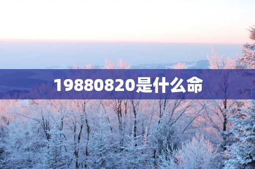 19880820是什么命