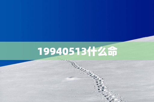19940513什么命