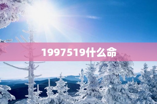1997519什么命