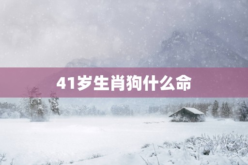 41岁生肖狗什么命