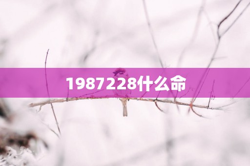 1987228什么命