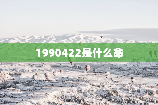 1990422是什么命