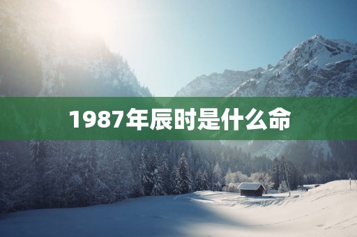 1987年辰时是什么命