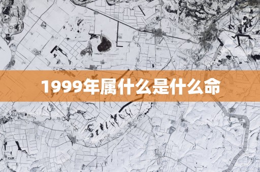 1999年属什么是什么命