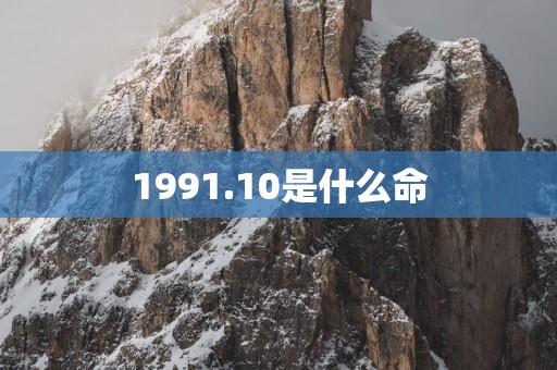 1991.10是什么命