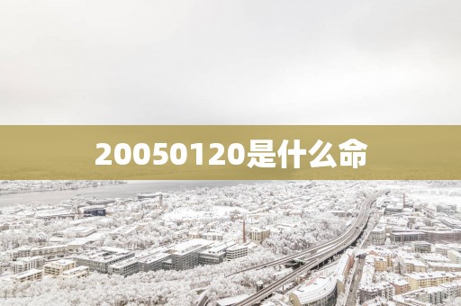20050120是什么命