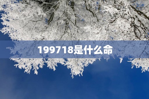 199718是什么命