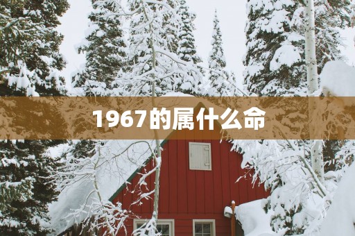 1967的属什么命