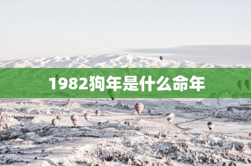 1982狗年是什么命年