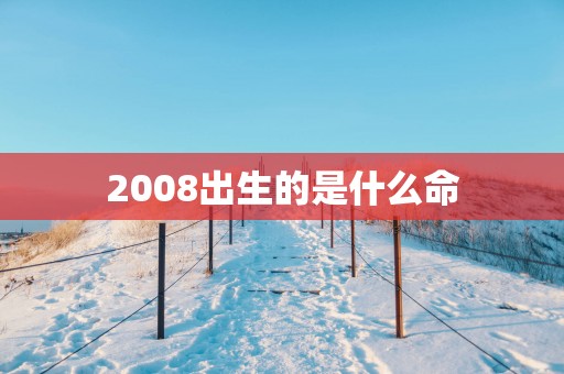 2008出生的是什么命