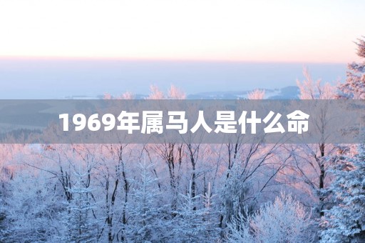 1969年属马人是什么命