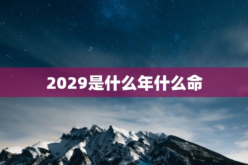 2029是什么年什么命