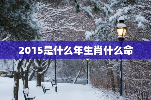 2015是什么年生肖什么命