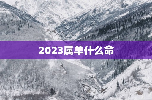 2025属羊什么命