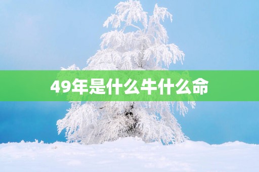 49年是什么牛什么命