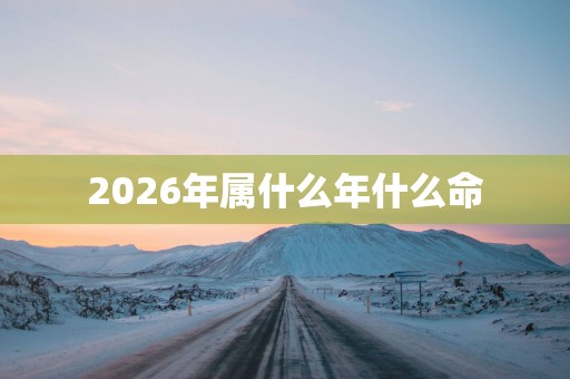 2026年属什么年什么命