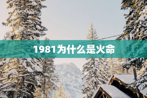 1981为什么是火命