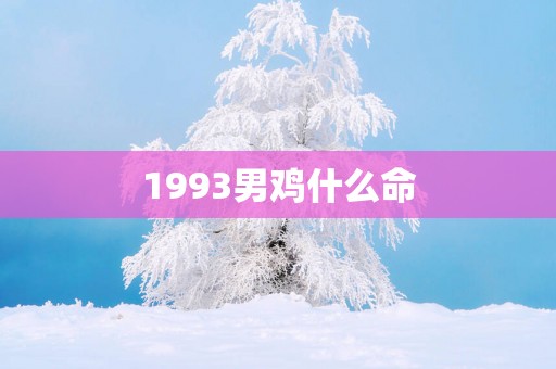 1993男鸡什么命