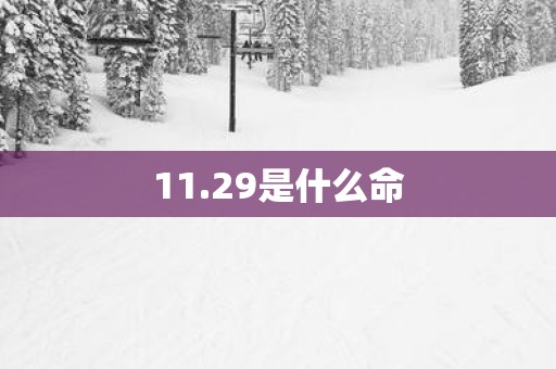 11.29是什么命