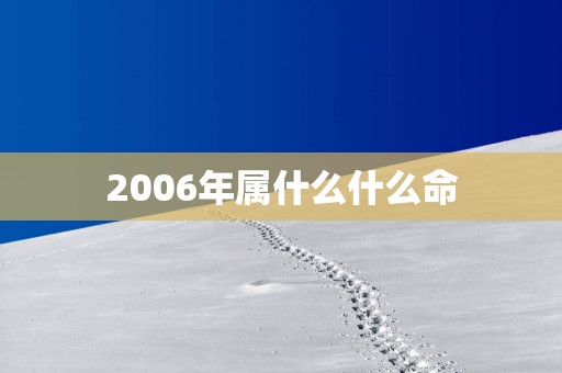 2006年属什么什么命