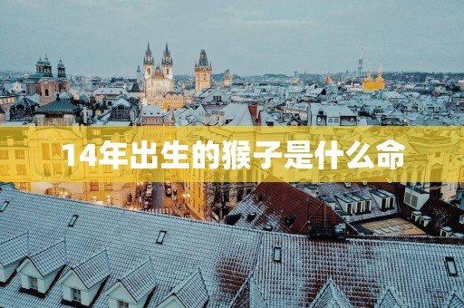 14年出生的猴子是什么命