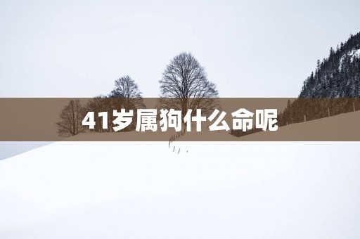 41岁属狗什么命呢