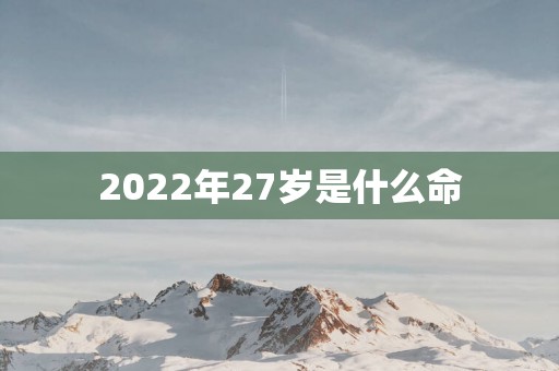 2025年27岁是什么命