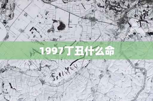 1997丁丑什么命