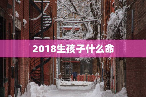 2018生孩子什么命