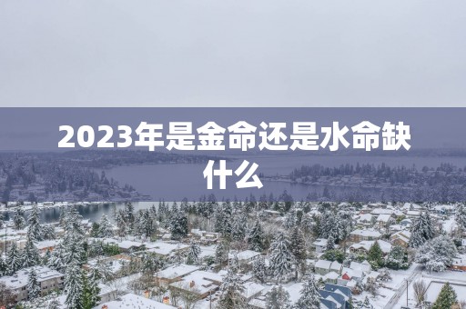 2025年是金命还是水命缺什么