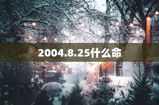 2004.8.25什么命