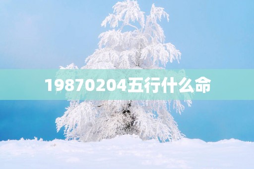 19870204五行什么命