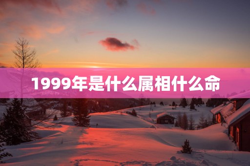 1999年是什么属相什么命